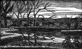 wood-engraving original print: The Pool for Mountains and Molehills by Frances Cornford